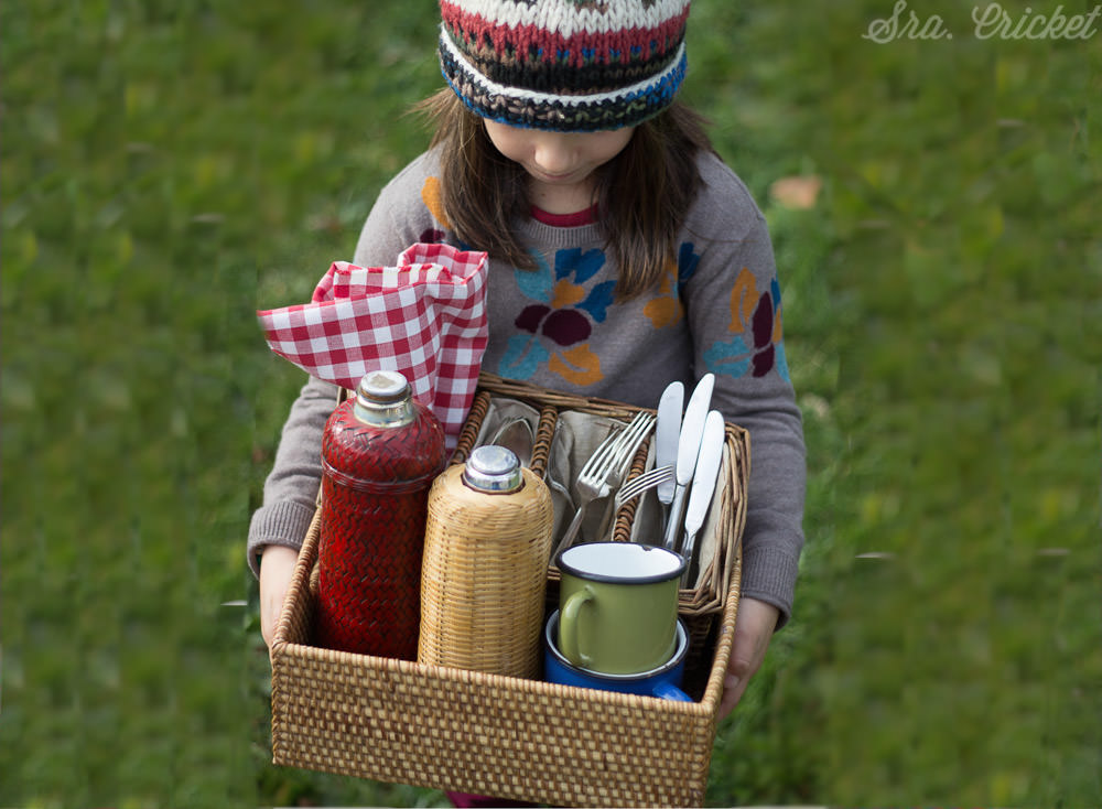 winter picnic