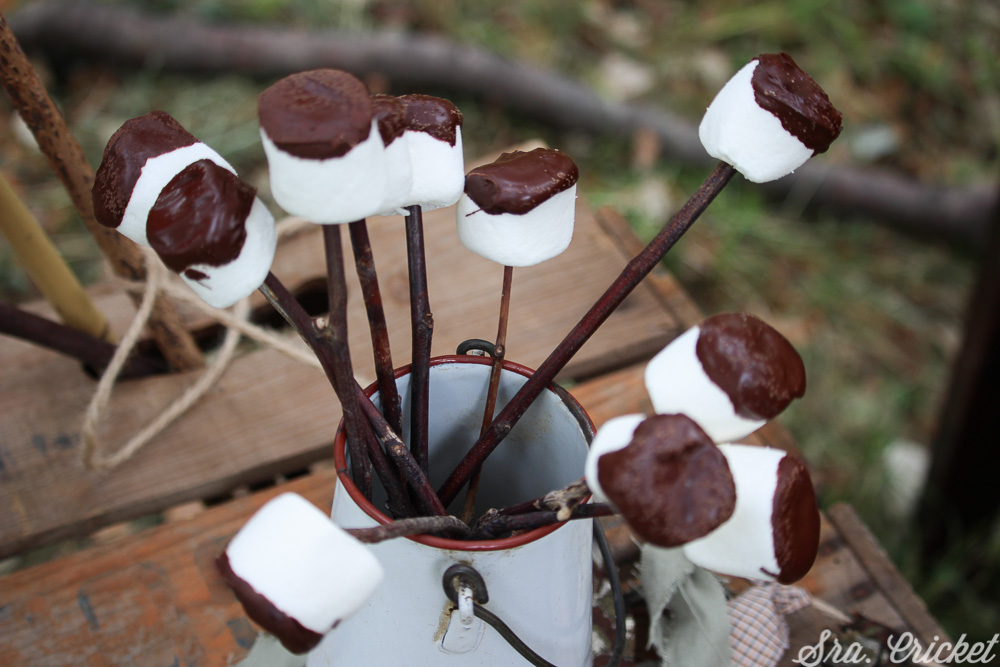 marshmallows con chocolate