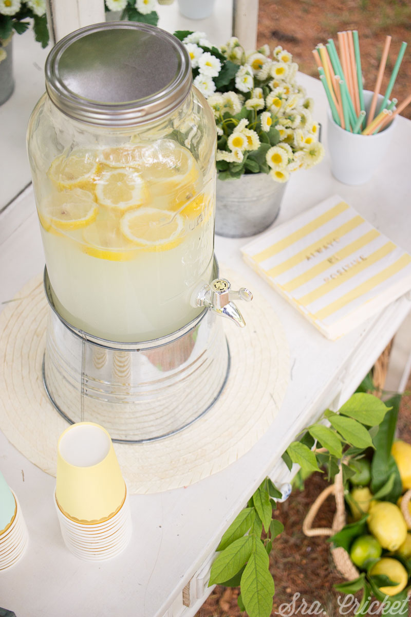 mesa limonada decoracion fiestas