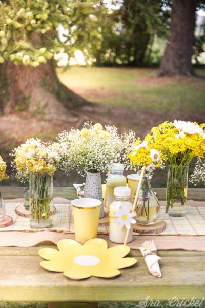 fiesta de margaritas fiesta de flores y picnic en el jardin