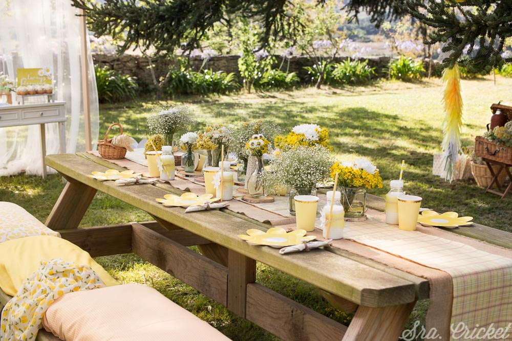 fiesta picnic flores jardin margaritas